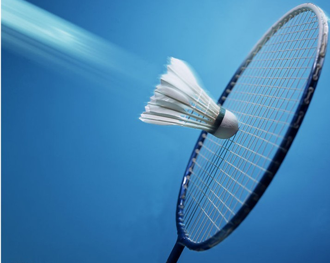 在某些回合 在某些回合