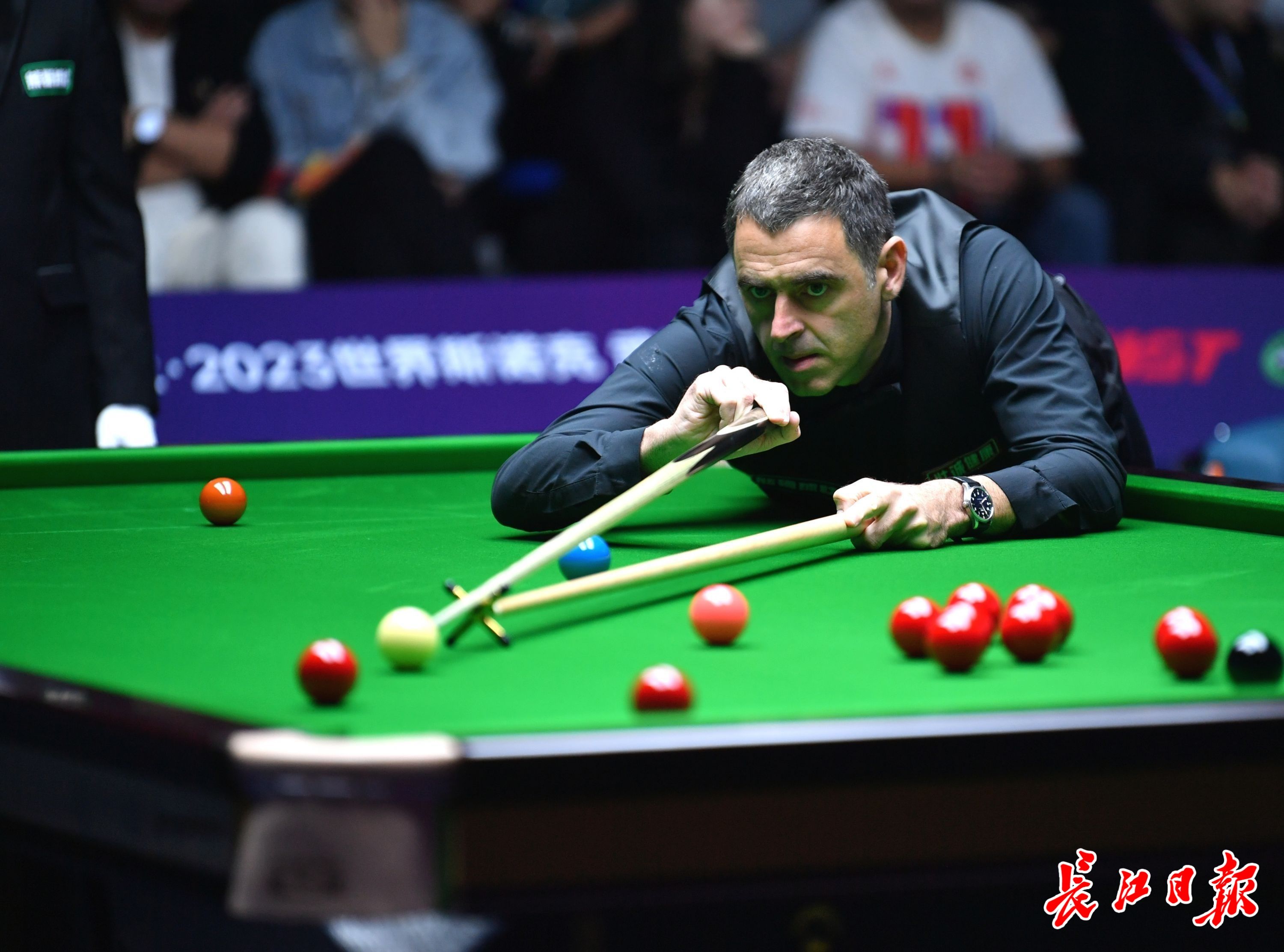 金支付和数 金支付和数